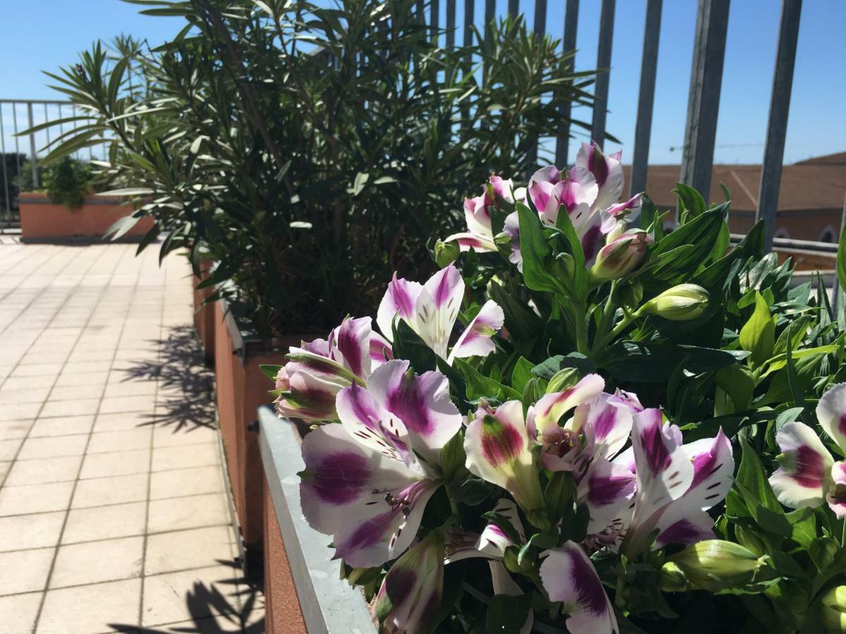B&B Colombo Pisa Kültér fotó