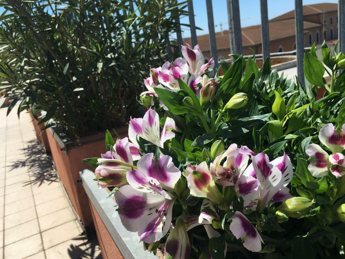 B&B Colombo Pisa Kültér fotó